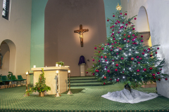 TREE_DSC9098