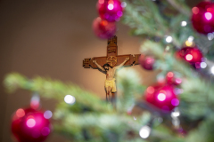 TREE_DSC9102