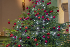 TREE_DSC9104