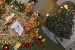TREE_DSC9164