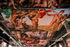 MICHELANGELO_DSC0231